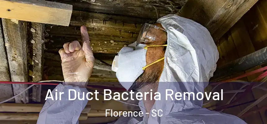 Air Duct Bacteria Removal Florence - SC
