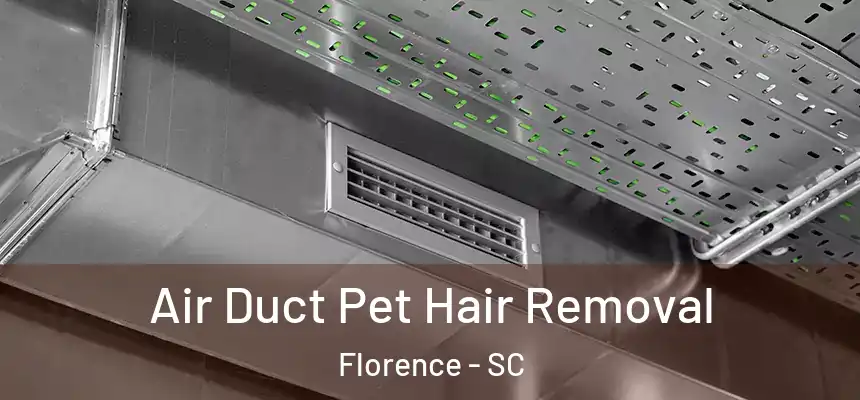  Air Duct Pet Hair Removal Florence - SC