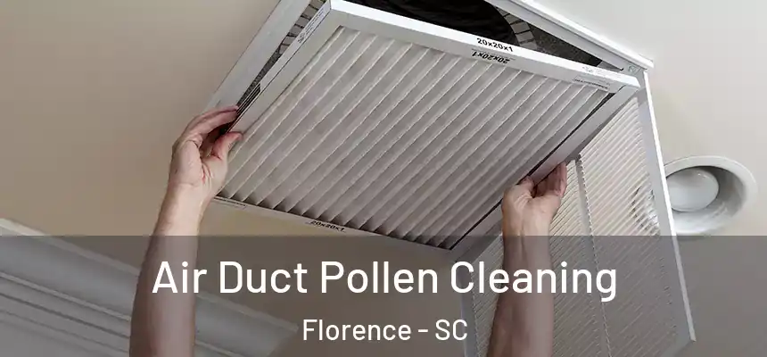 Air Duct Pollen Cleaning Florence - SC
