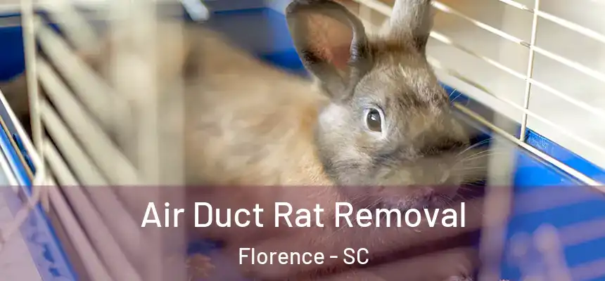  Air Duct Rat Removal Florence - SC