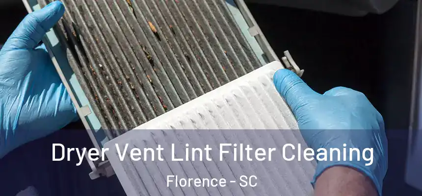  Dryer Vent Lint Filter Cleaning Florence - SC