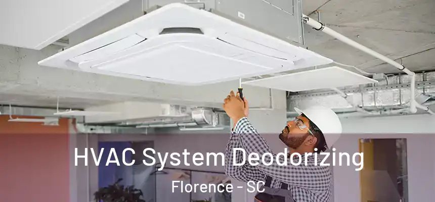  HVAC System Deodorizing Florence - SC