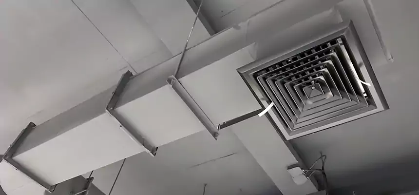 Our Pest Removal From Ducts Services in Florence, SC