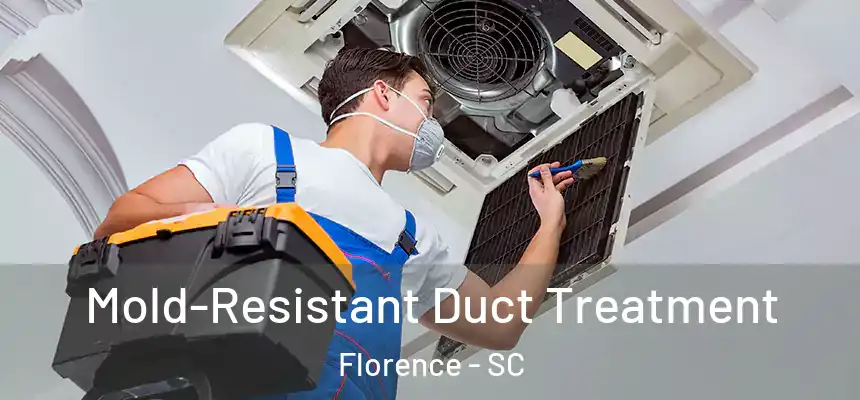  Mold-Resistant Duct Treatment Florence - SC
