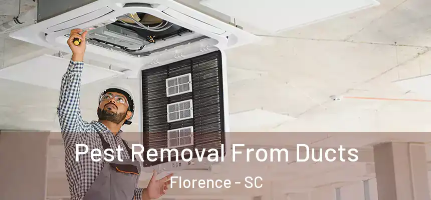 Pest Removal From Ducts Florence - SC