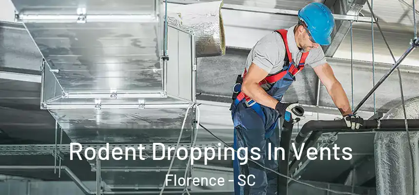  Rodent Droppings In Vents Florence - SC