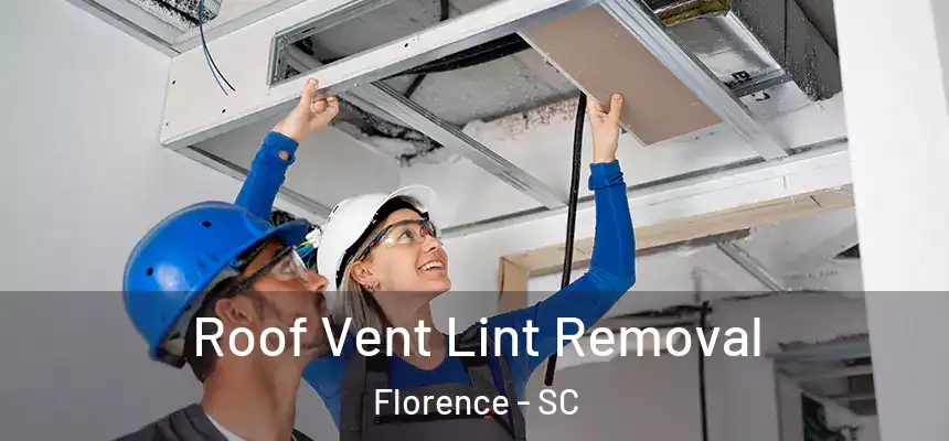  Roof Vent Lint Removal Florence - SC