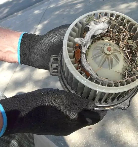 About Air Duct Rat Removal in Florence, SC