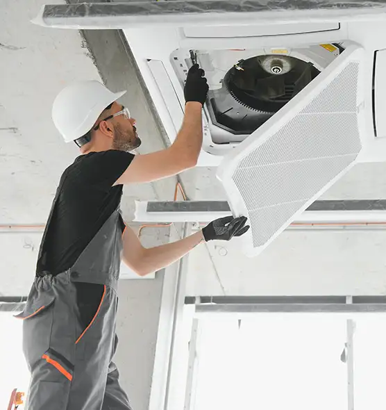 About Air Duct Rodent Removal in Florence, SC