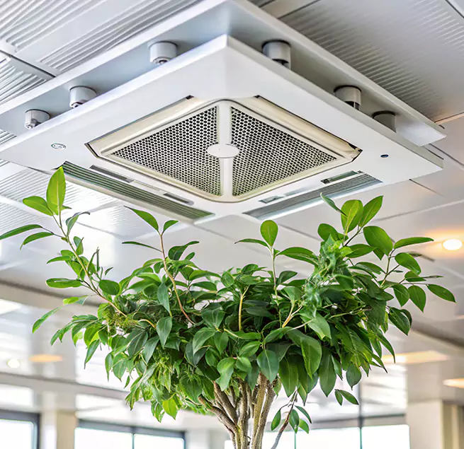 Why Homeowners & Businesses Trust Us in Florence, SC?